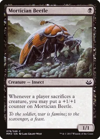 Mortician Beetle · 78