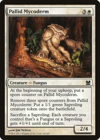 Pallid Mycoderm · 24