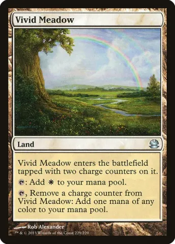 Vivid Meadow · 229