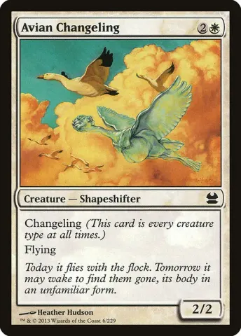 Avian Changeling · 6