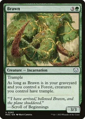 Brawn · 292