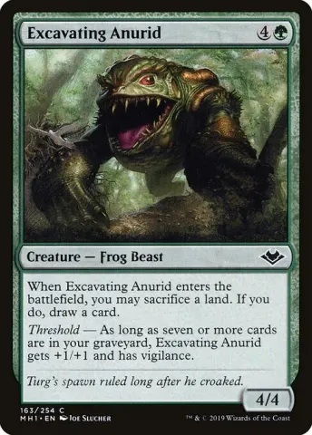 Excavating Anurid · 163