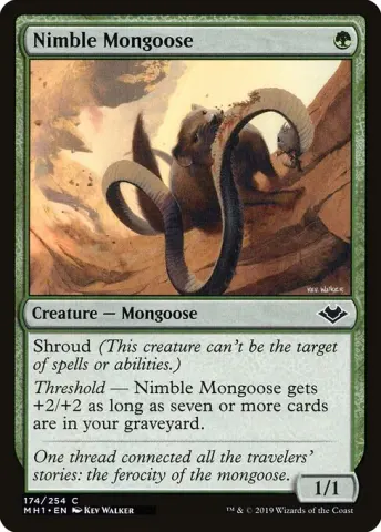 Nimble Mongoose · 174