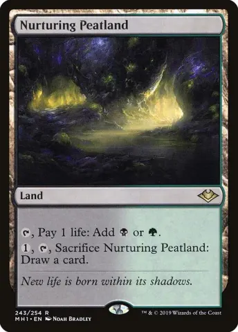 Nurturing Peatland · 243