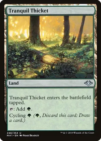 Tranquil Thicket · 248