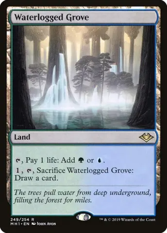 Waterlogged Grove · 249
