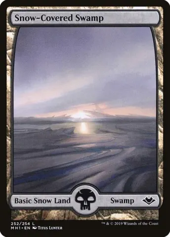 Snow-Covered Swamp · 252