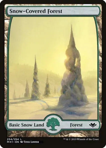 Snow-Covered Forest · 254