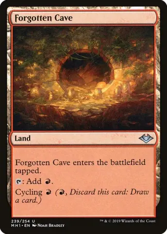 Forgotten Cave · 239