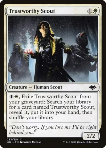 Trustworthy Scout · 33