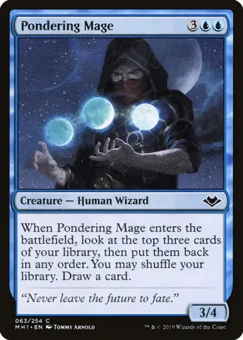 Pondering Mage · 63