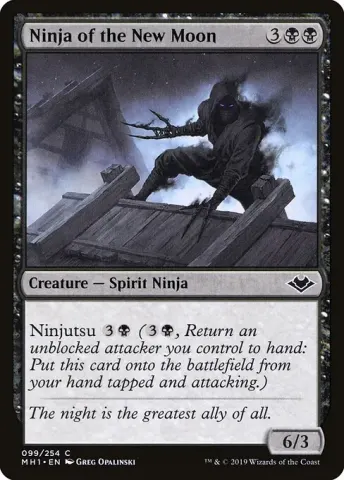 Ninja of the New Moon · 99
