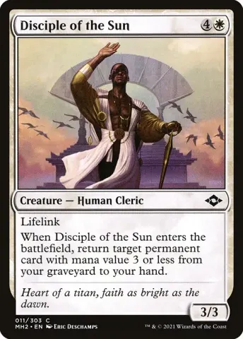 Disciple of the Sun · 11
