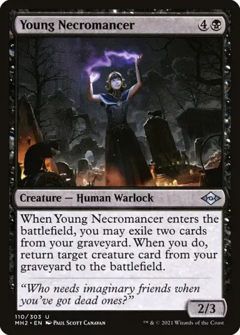 Young Necromancer · 110