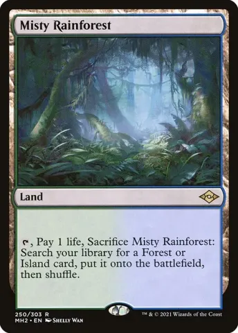 Misty Rainforest · 250