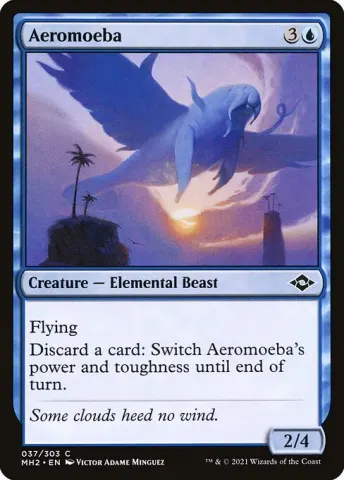 Aeromoeba · 37