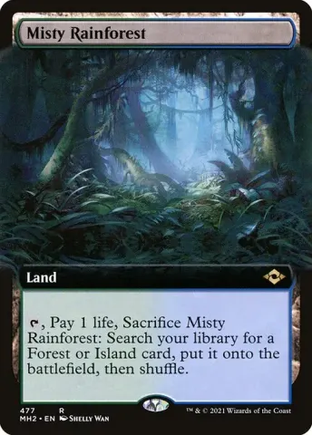 Misty Rainforest · 477