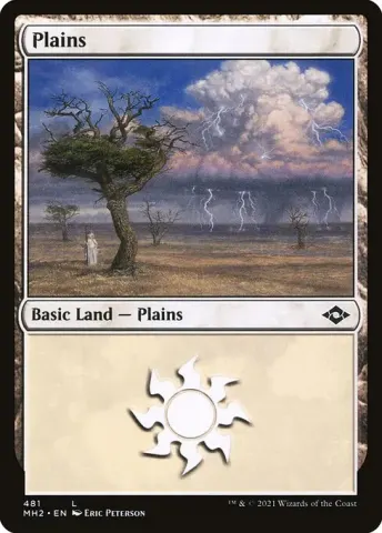 Plains · 481