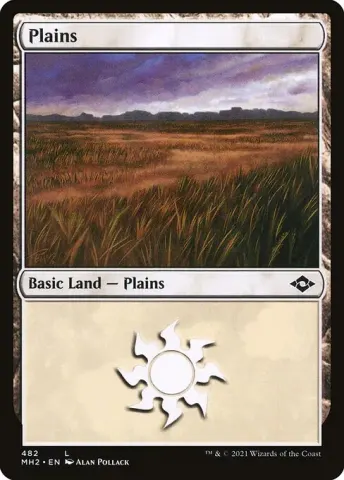 Plains · 482