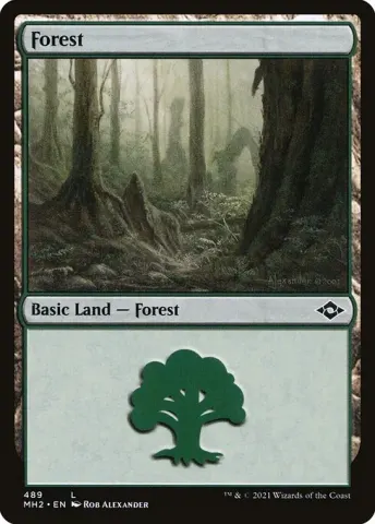 Forest · 489