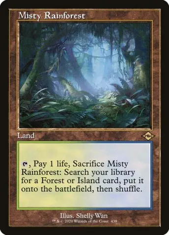 Misty Rainforest · 438