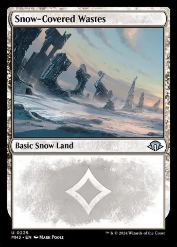 Snow-Covered Wastes · 229