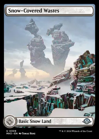 Snow-Covered Wastes · 309