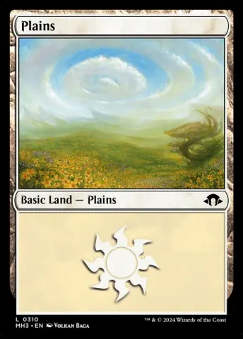 Plains · 310