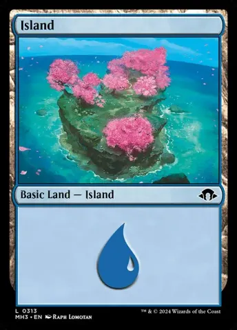 Island · 313