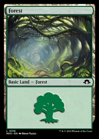 Forest · 319