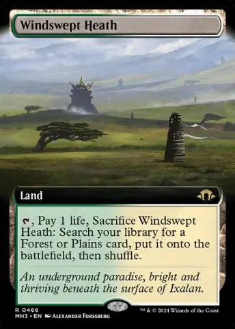 Windswept Heath · 466