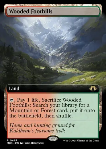 Wooded Foothills · 467