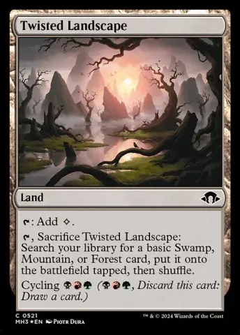 Twisted Landscape · 521