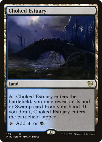 Choked Estuary · 169