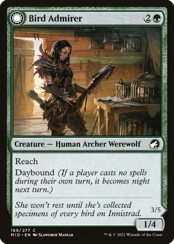 Bird Admirer // Wing Shredder · 169