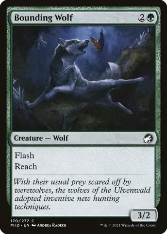 Bounding Wolf · 170