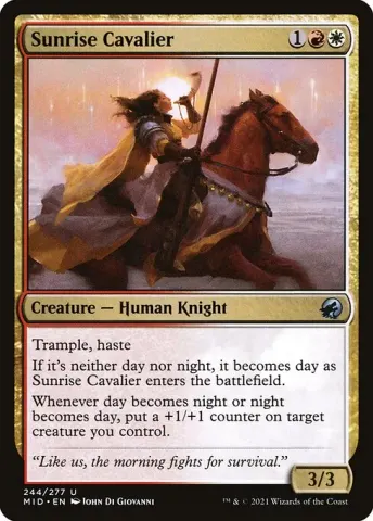 Sunrise Cavalier · 244
