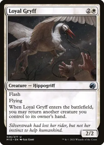 Loyal Gryff · 26