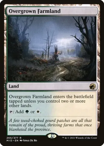 Overgrown Farmland · 265