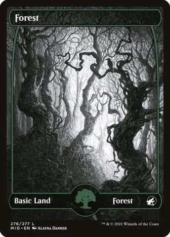 Forest · 276