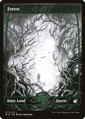 Forest · 277