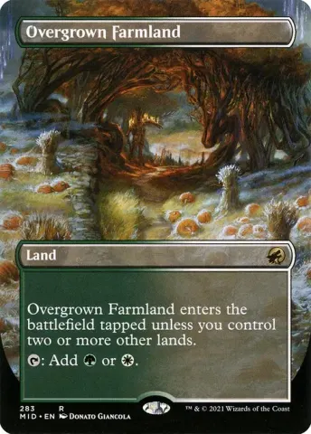 Overgrown Farmland · 283