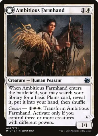 Ambitious Farmhand // Seasoned Cathar · 2