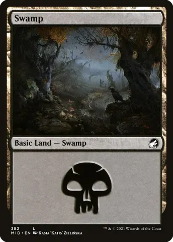 Swamp · 382