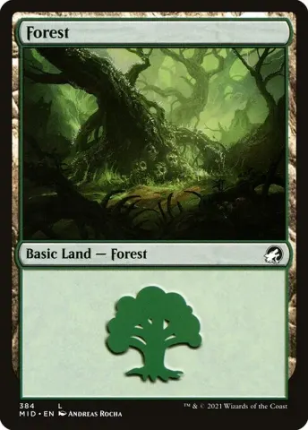 Forest · 384