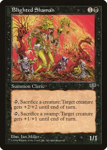 Blighted Shaman · 107