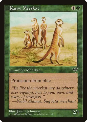 Karoo Meerkat · 225