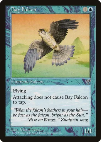 Bay Falcon · 54