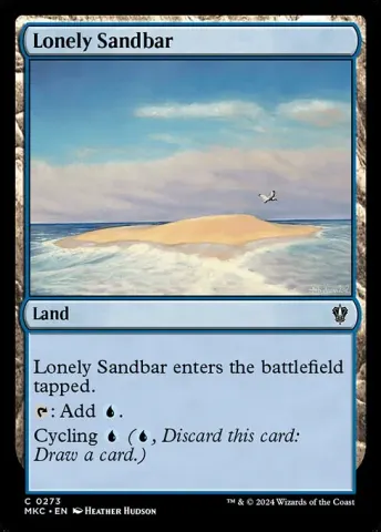 Lonely Sandbar · 273