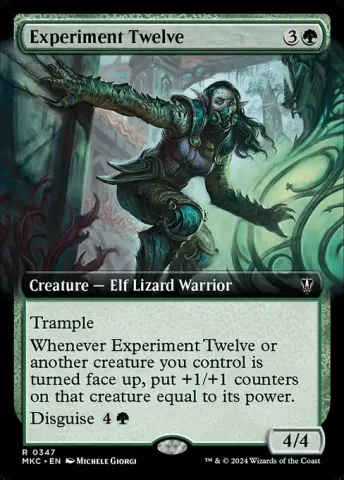 Experiment Twelve · 347